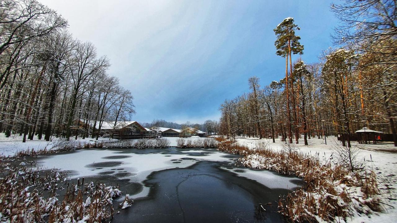 Stacja Nowa Gdynia Bed & Breakfast Aquapark Zgierz Exteriér fotografie